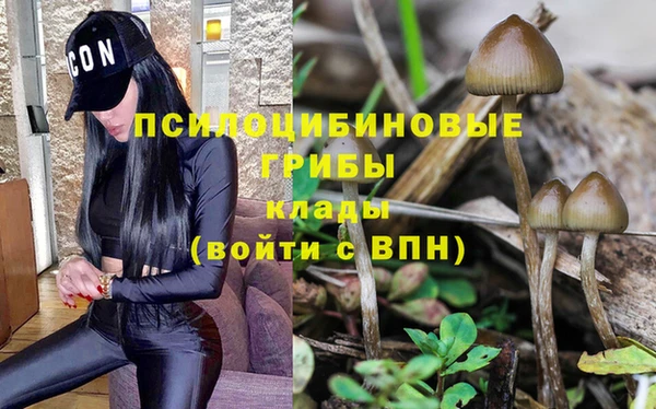 гашишное масло Абинск
