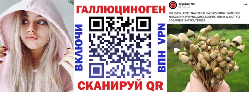 Галлюциногенные грибы мухоморы Южа